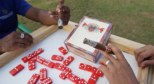 Domino