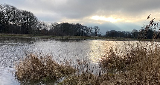 An der Ems